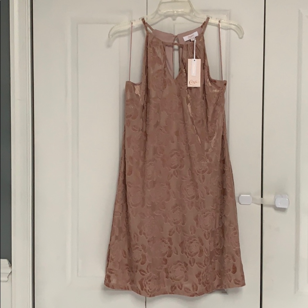 Blush pink Candie’s dress
